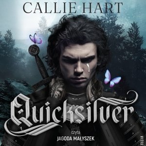 Quicksilver - audiobook (audiobook)