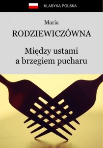 Między ustami a brzegiem pucharu (EBOOK)