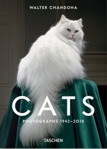 Walter Chandoha. Cats. Photographs 1942-2018 wer. angielska