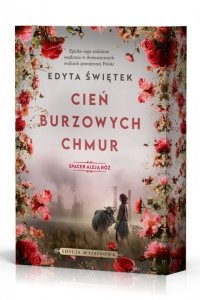 Cień burzowych chmur. Spacer Aleją Róż 1 (barwione brzegi)
