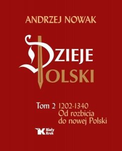 Dzieje Polski. Tom 2. Od rozbicia do nowej Polski