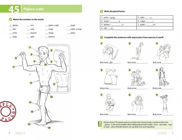 Testuj swój polski. Słownictwo 1 + audiofiszki i fiszki