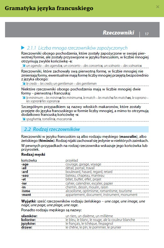 Gramatyka języka francuskiego z praktycznymi przykładami