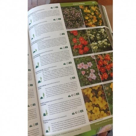 Katalog roślin 2024. Drzewa, krzewy, byliny - nowe wydanie