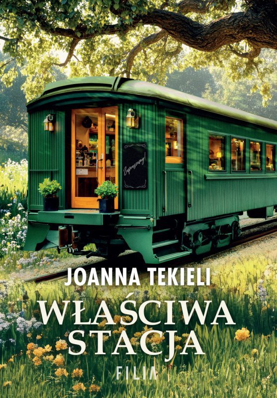 Właściwa stacja (EBOOK)