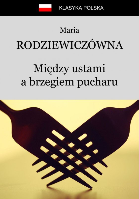 Między ustami a brzegiem pucharu (EBOOK)