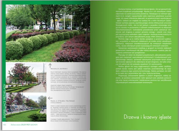 Zielone Miasto. Zieleń Przy Ulicach 