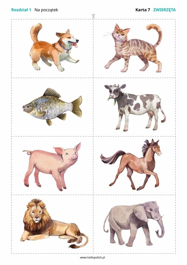 Polski na czasie. Zabawy językiem polskim dla dzieci w wieku przedszkolnym i wczesnoszkolnym