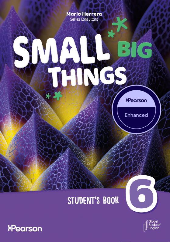 Small Big Things 6. Student's Enhanced Pack