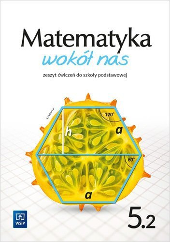 Matematyka wokół nas. Szkoła podstawowa klasa 5. Zeszyt ćwiczeń część 2. Wydanie 2021