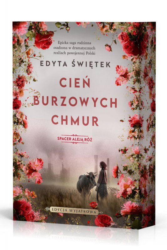 Cień burzowych chmur. Spacer Aleją Róż 1 (barwione brzegi)