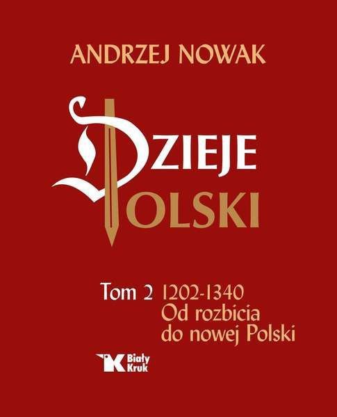 Dzieje Polski. Tom 2. Od rozbicia do nowej Polski
