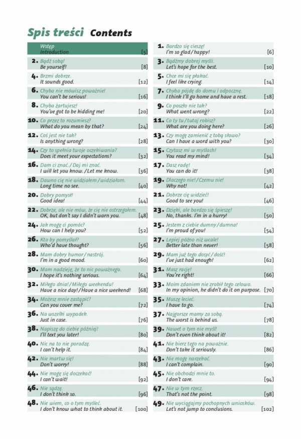 Rozmawiamy po polsku. 100 dialogów z ćwiczeniami. Język polski dla obcokrajowców A1+/A2