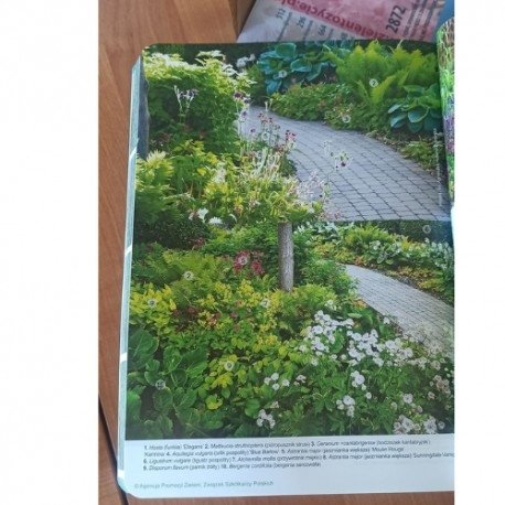 Katalog roślin 2024. Drzewa, krzewy, byliny - nowe wydanie