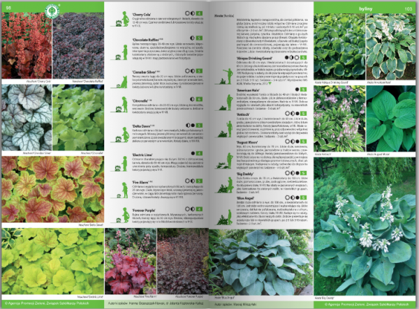 KATALOG BYLIN II Kwiaty, trawy i paprocie