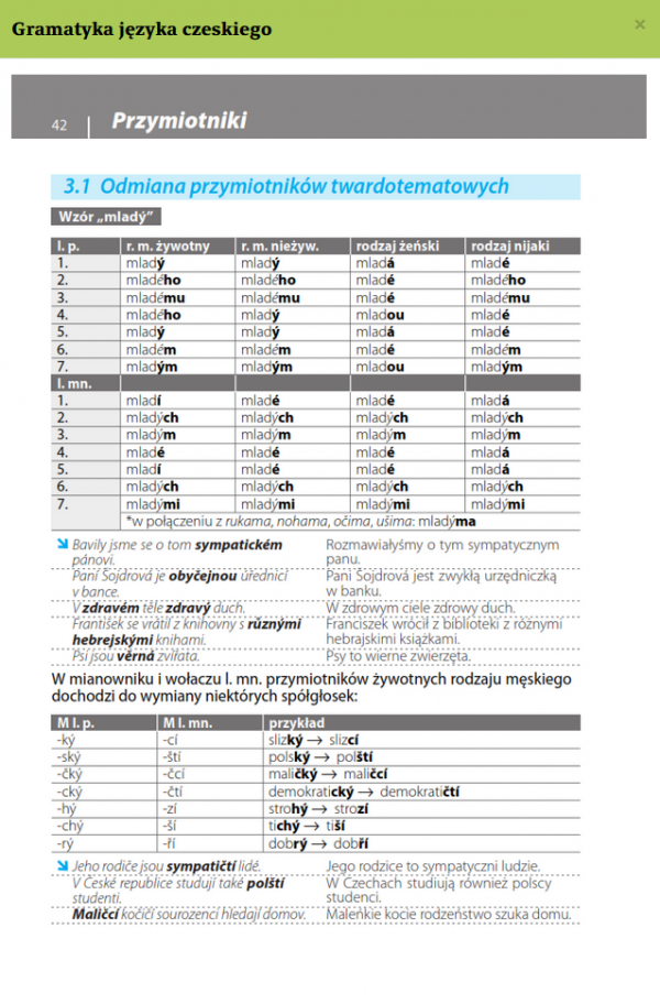 Gramatyka języka czeskiego z praktycznymi przykładami