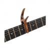 ORTEGA TWCAPO-CR