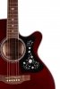 TAKAMINE GN75CE-WR