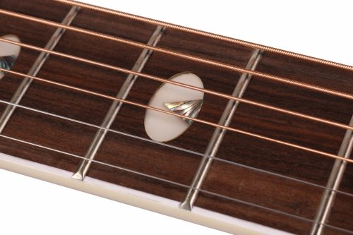 TAKAMINE GN75CE-WR