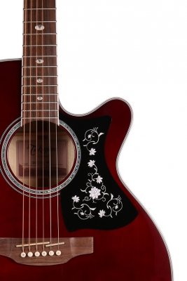 TAKAMINE GN75CE-WR