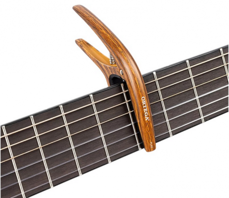 ORTEGA TWCAPO-WND