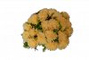 Bukiet chryzantema mała z dodatkami 24 kwiatów MIX - 20YW035