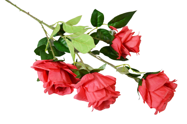 Róża na gałązce x 4 MIX - BXT1770