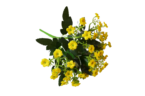 Bukiet Kalanchoe x 6 kwiatów MIX - DX88105