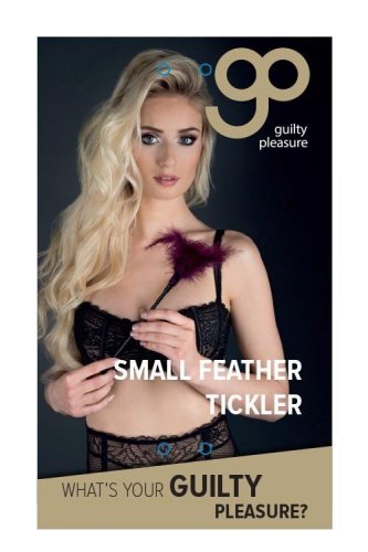 GP Small Feather Tickler Purple - erotyczne piórko do łaskotania