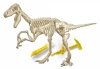 Mały Geniusz Velociraptor - świeci w ciemności