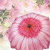 Pink Daisy - różowa stokrotka - parasolka składana Galleria