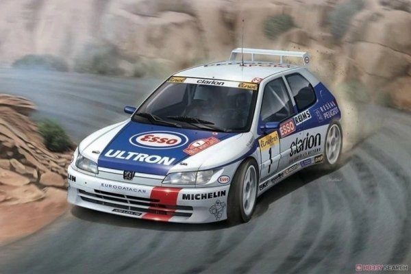 NuNu 24009 Peugeot 306 Maxi 1/24 
