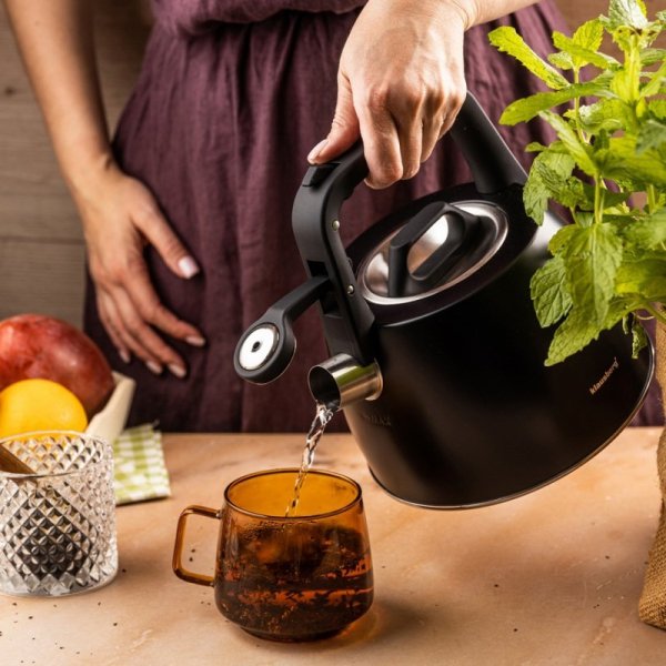 CZAJNIK STALOWY Z GWIZDKIEM 2,5L KLAUSBERG KB-7915