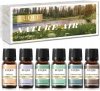 Olejek eteryczny Zestaw Olejków Zapachowych Naturalne Powietrze EUQE 6x10ml