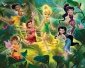 Fototapeta Disney Fairies Wróżki Dzwoneczek 