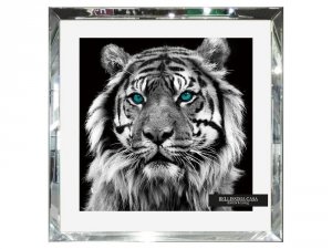 Obraz w lustrzanej ramie tygrys 55x55 cm