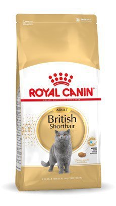 Royal Canin FBN British Shorthair Adult - sucha karma dla kota dorosłego - 10kg