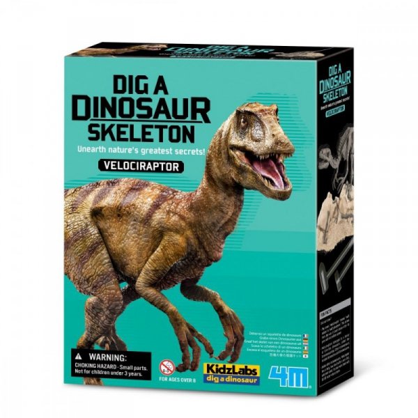 4m Zestaw naukowy Wykopaliska - Velociraptor