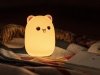 Lampka nocna Tracer Teddy Bear