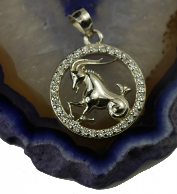 Wisior koziorożec znak zodiaku  wysadzany srebro 925