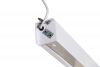 Avtek Business Electric 200