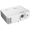 Projektor, rzutnik Vivitek DX330