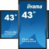 Monitor interaktywny 43 cale IIYAMA 43 T4362AS-B1 