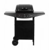 TEESA Grill gazowy BBQ 2000 - 2 palniki