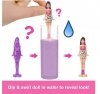 Mattel Mini Lalka Barbie Mini BarbieLand Color Reveal mix