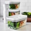 Zwilling Pojemnik szklany Fresh&Save 2l szary