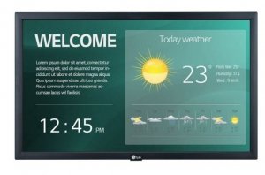 Monitor DS odtwarzacz multimedialny LG Electronics  22 cale 
