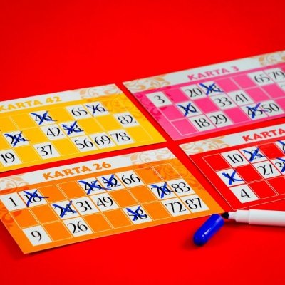 Lisciani Gra Ludoteca Bingo