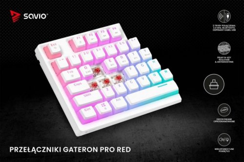 Savio Klawiatura mechaniczna bezprzewodowa PHENIX WHITE Gateron Red Pro, Pudding
