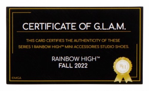 MGA Akcesoria  Rainbow High Buty display 27 sztuk